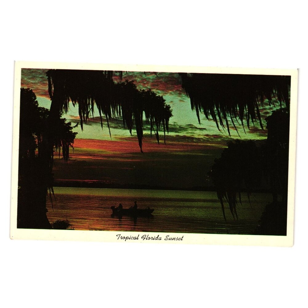 Tropical Florida Sunset Vintage Postcard Cypress Gardens Souvenir Natural Color